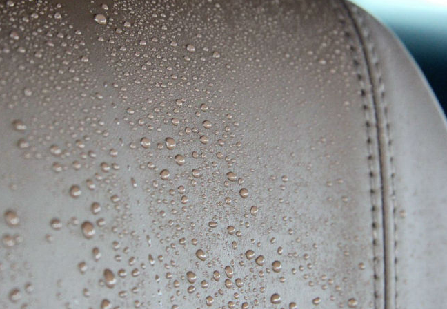 CeramicPro_Leather